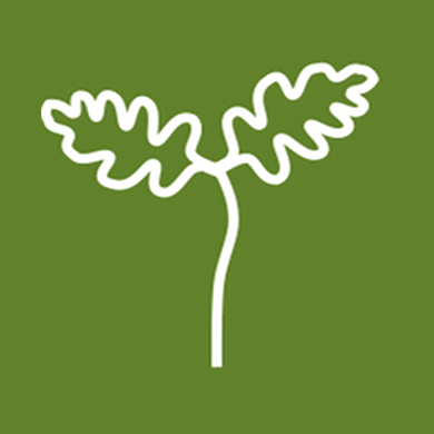 Organisation Logo - Little Oak Energy